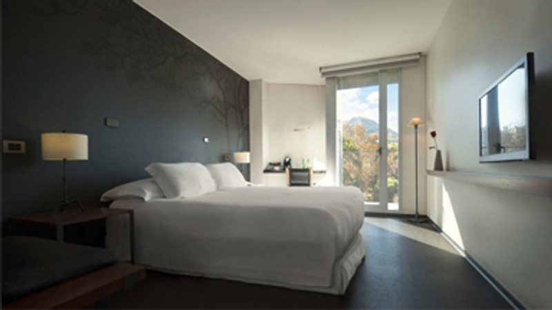 Hotel Ismael